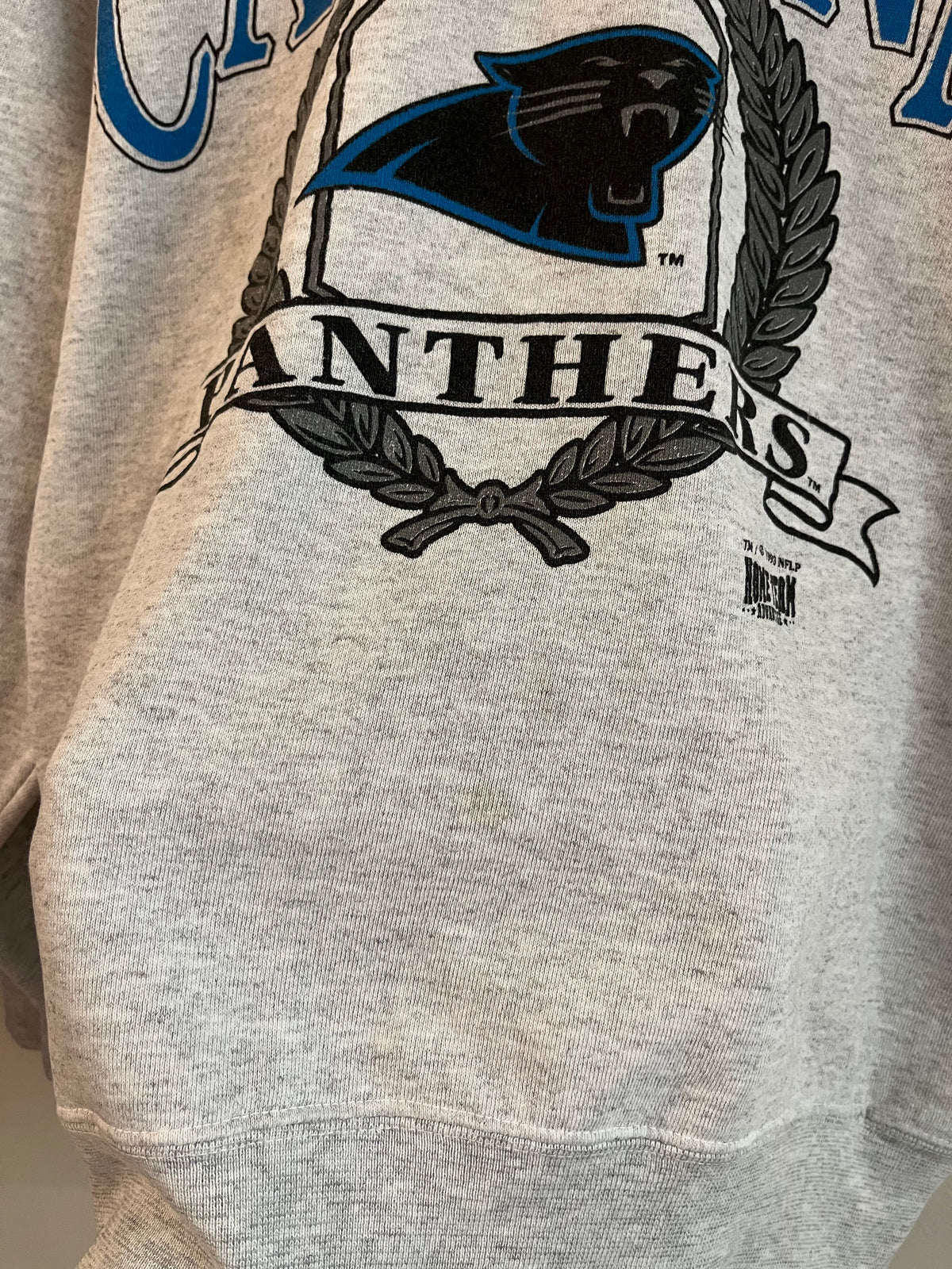 1993 Carolina Panthers Home Team Advantage Crewneck (M)