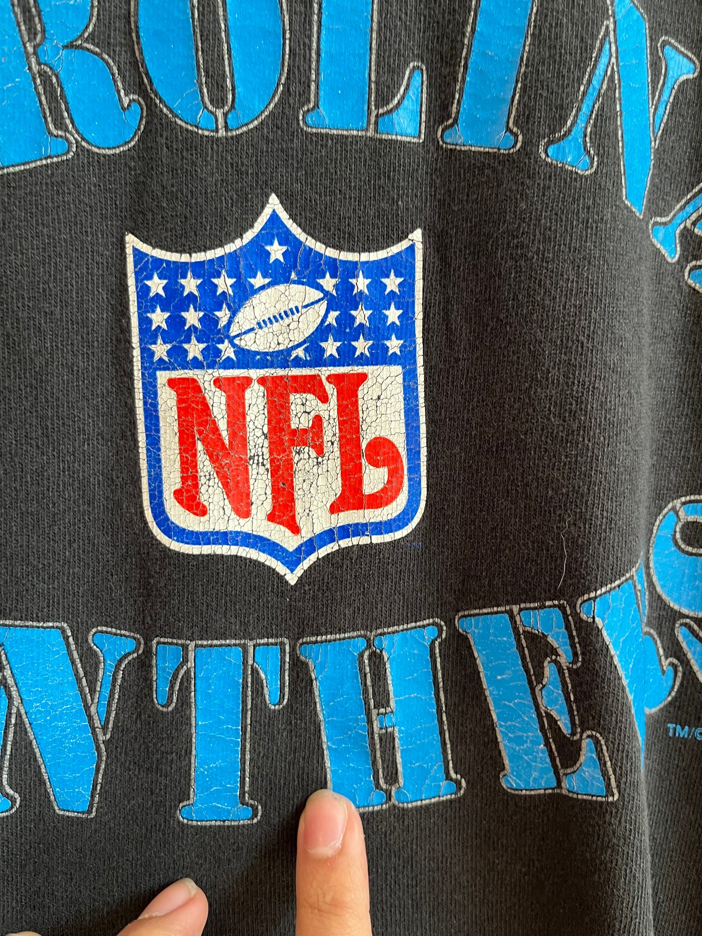 1994 Carolina Panthers Champion Pro Line Spell Out Tee (XL)