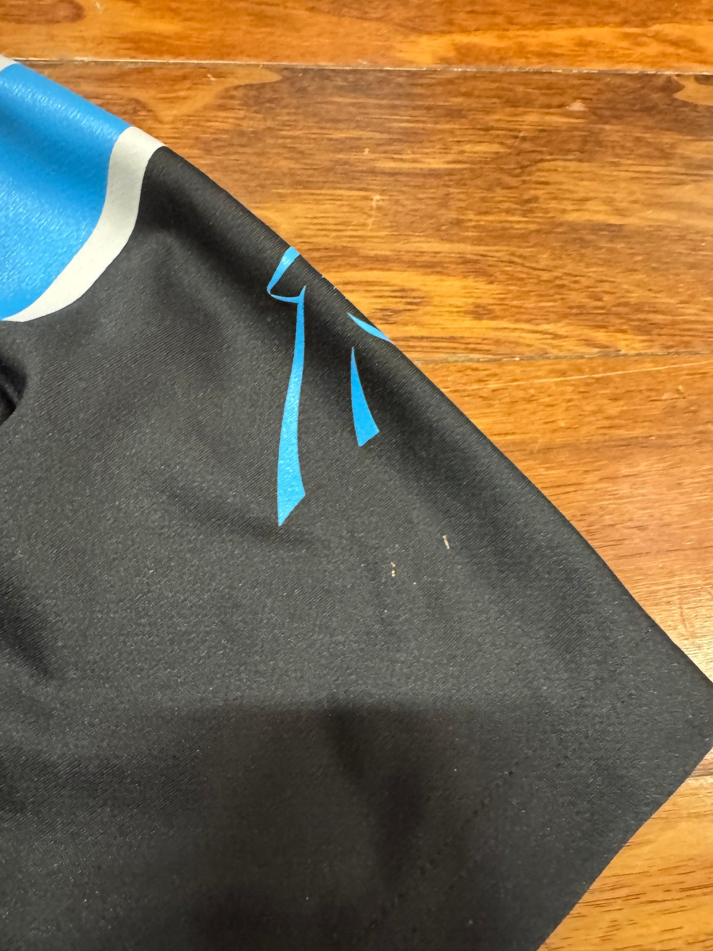 Carolina Panther Cam Newton NFL Team Youth Jersey (Youth L)