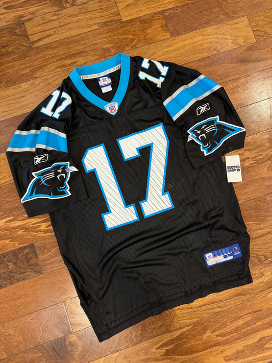 00s Carolina Panthers Jake Delhomme Jersey (L)