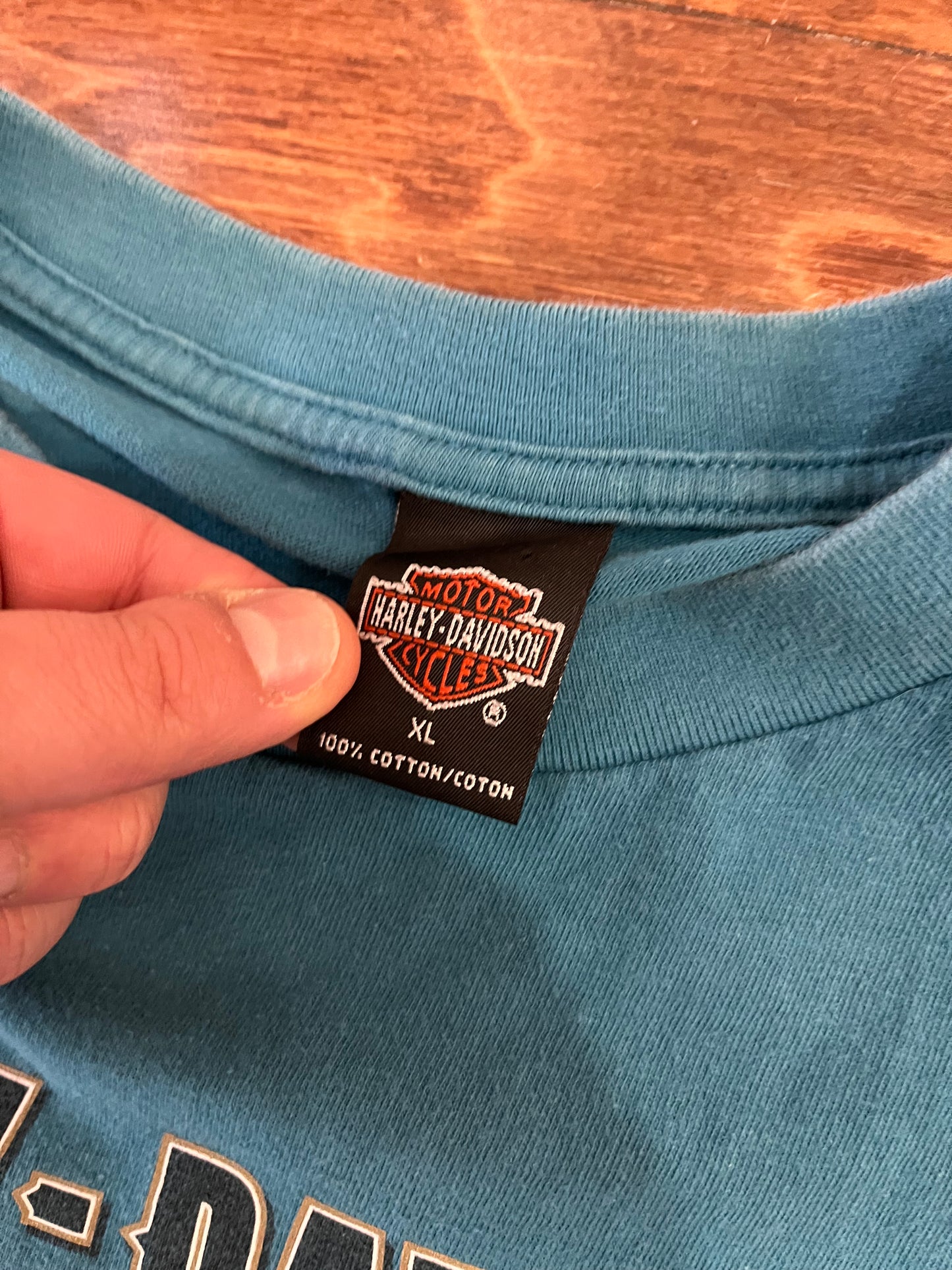 1996 Harley Davidson Teal Statesville Tee (XL)