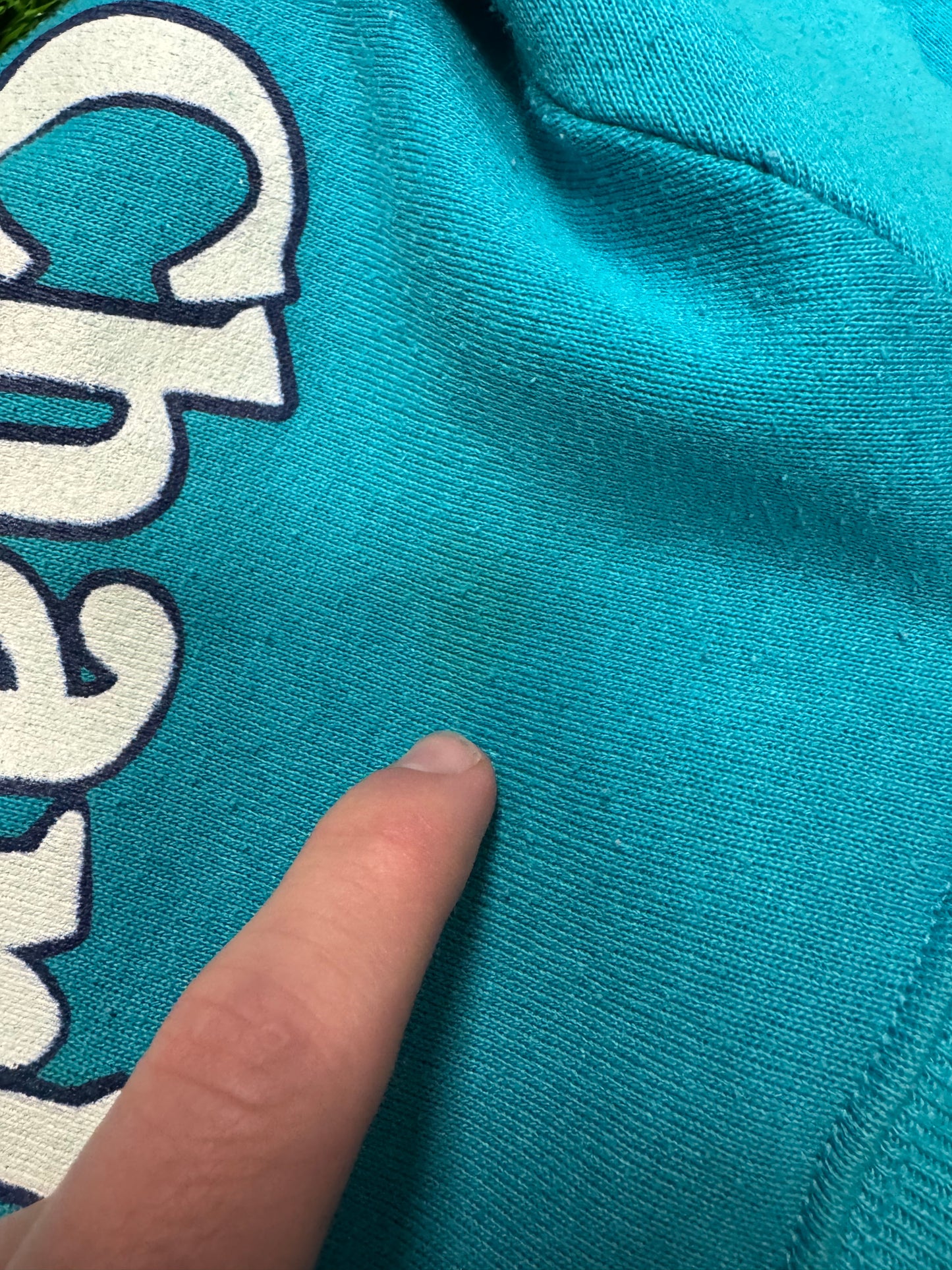 90s Charlotte Hornets Vintage Mascot Logo NBA Crewneck (L)