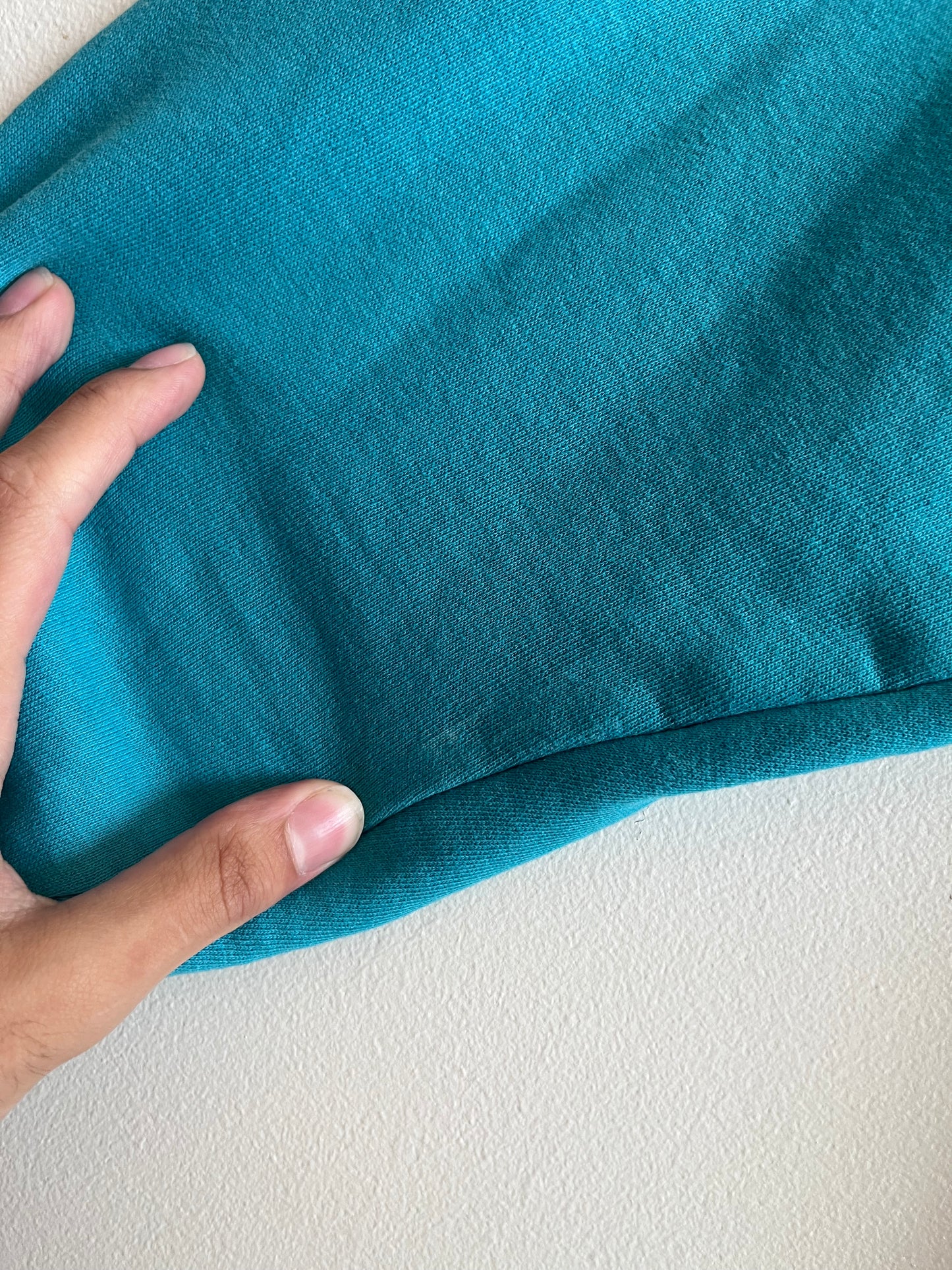 90s Charlotte Hornets Faded Logo Athletic Crewneck (L)