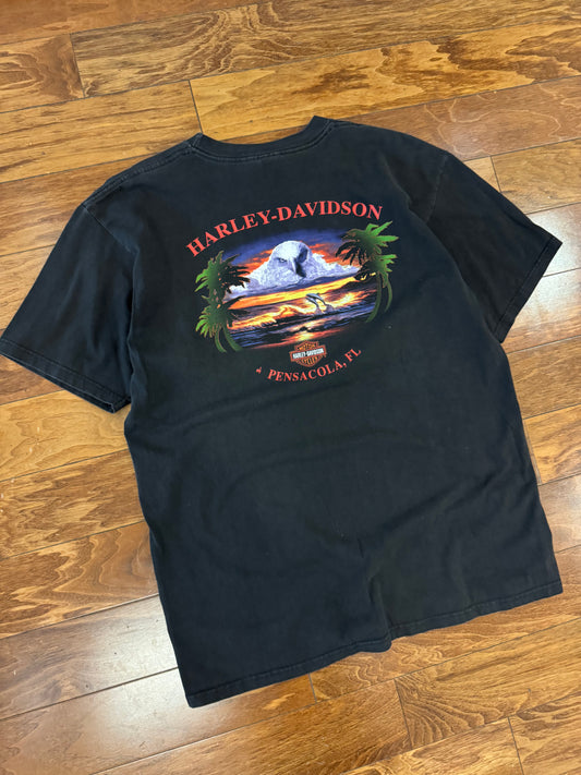 2002 Harley Davidson Pensacola, FL Vintage Tee (XL)