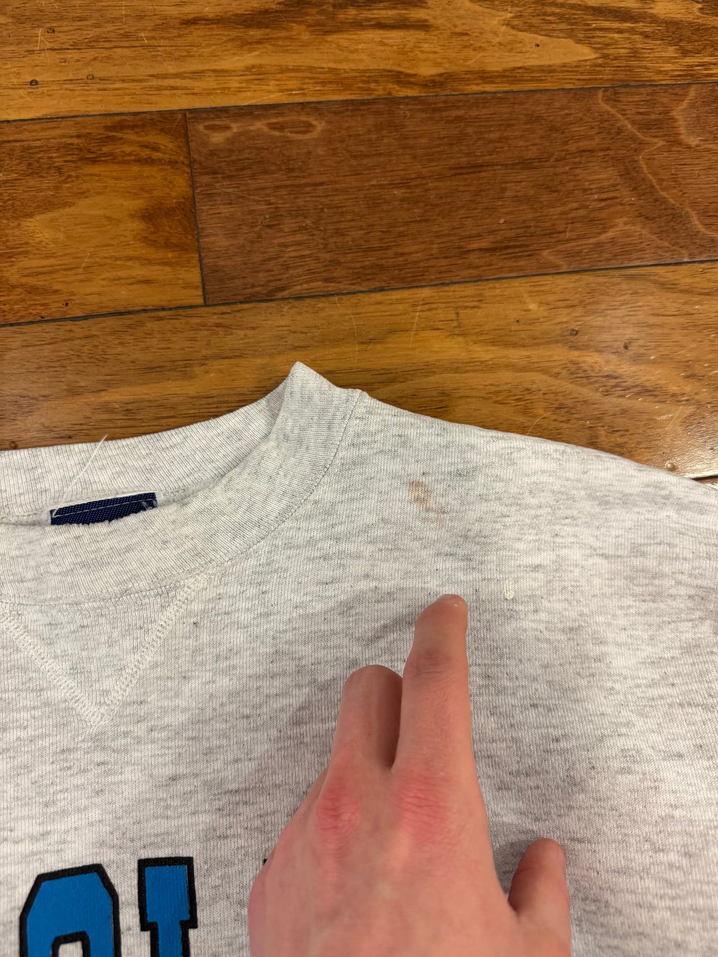 90s Carolina Panthers Bike Crewneck (M)