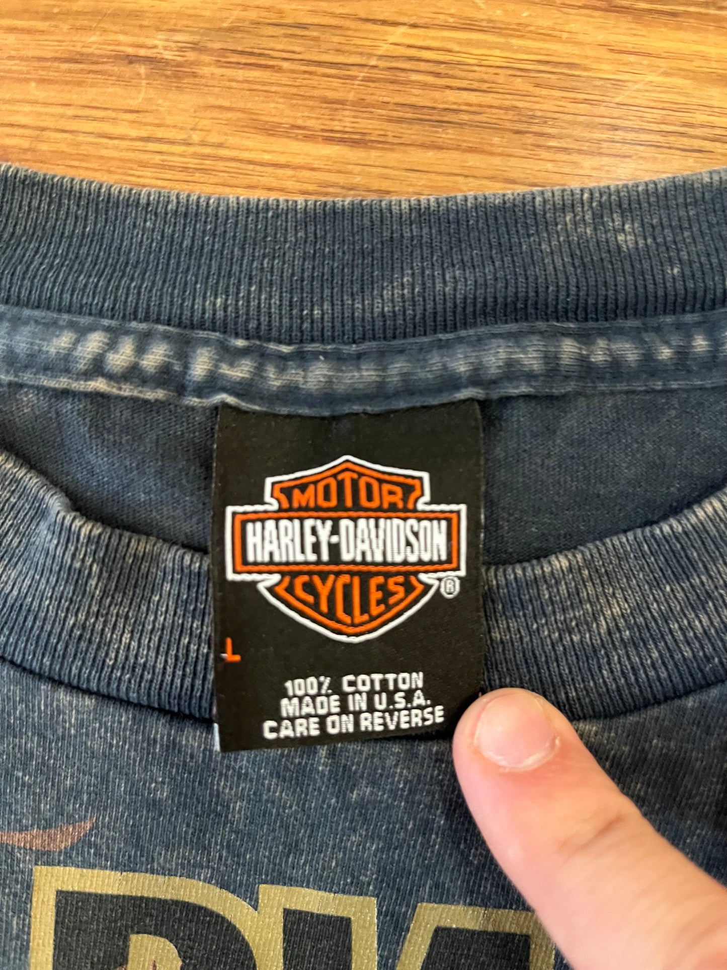 2009 Harley Davidson Deadwood Tee (L)