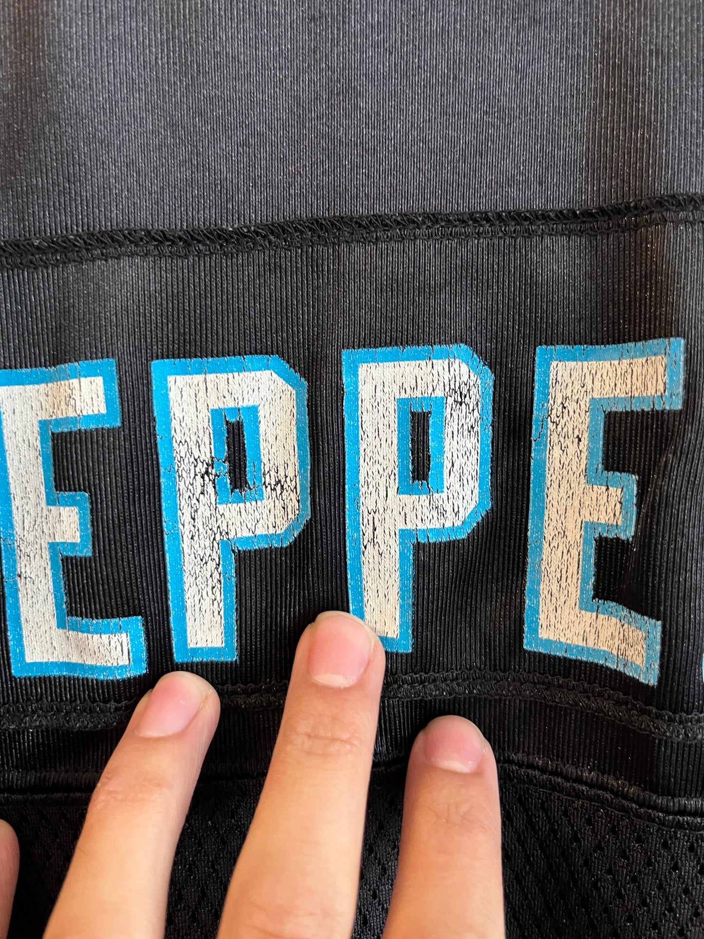 00s Carolina Panthers Reebok NFL Julius Peppers Black Jersey (L)
