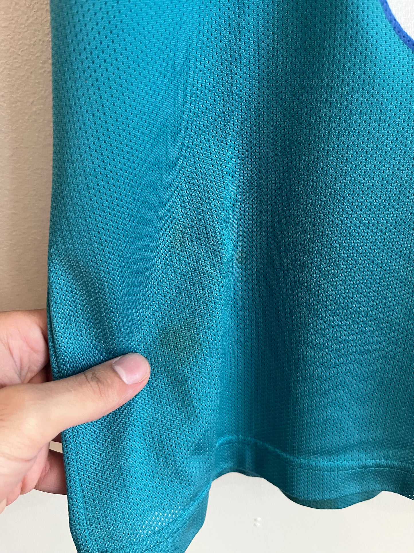 1990s Charlotte Hornets Alanzo Mourning Champion Jersey (M)