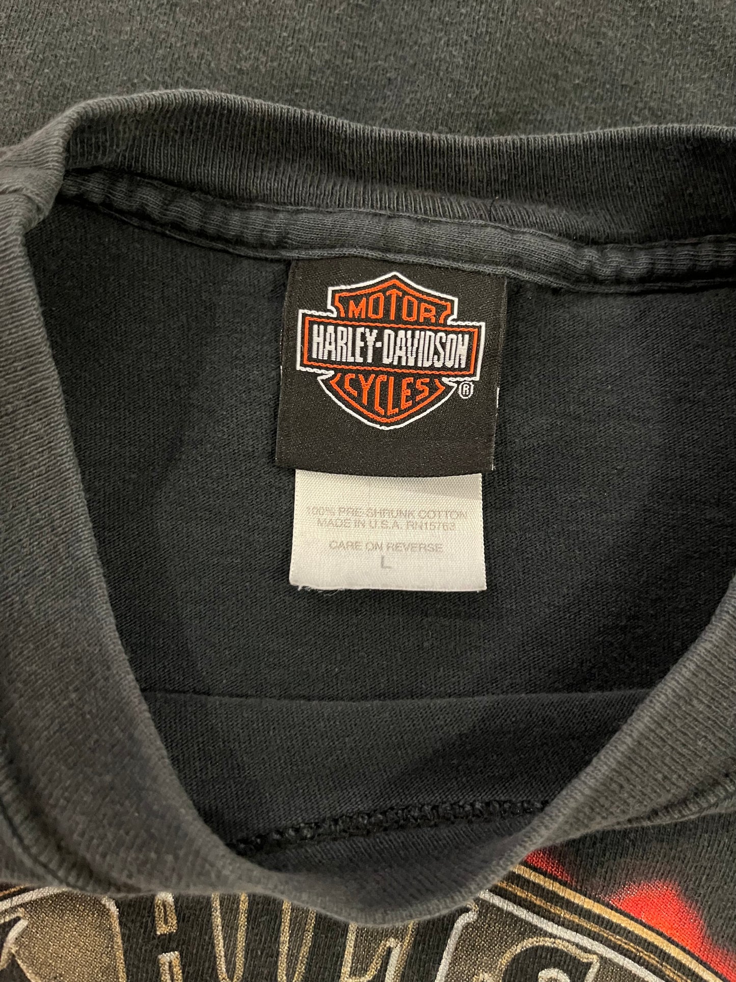 2004 Harley Davidson Sturgis Flames Graphic Tee (L)