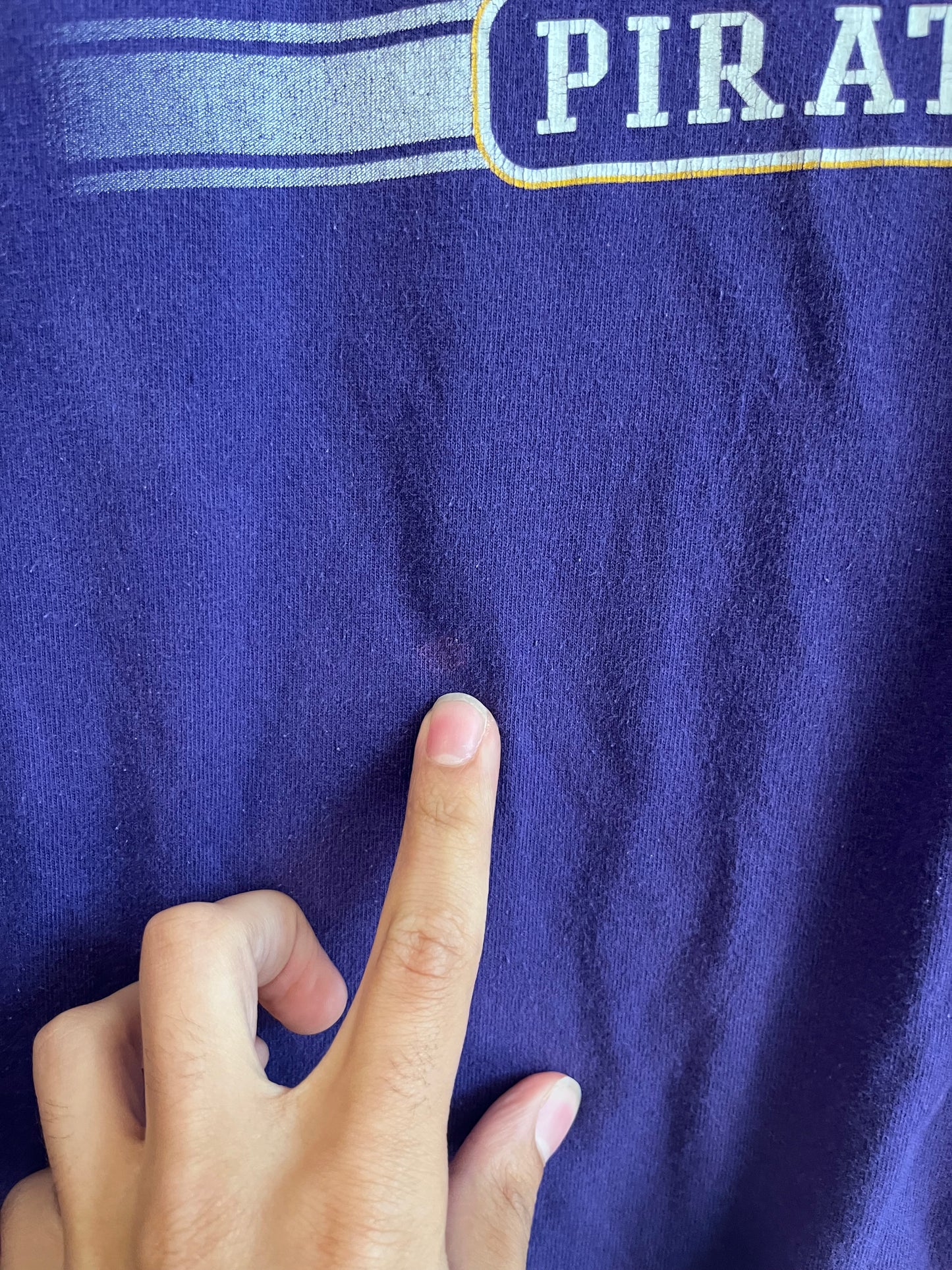 00s East Carolina (ECU) Cabre Sports Purple Tee (L)