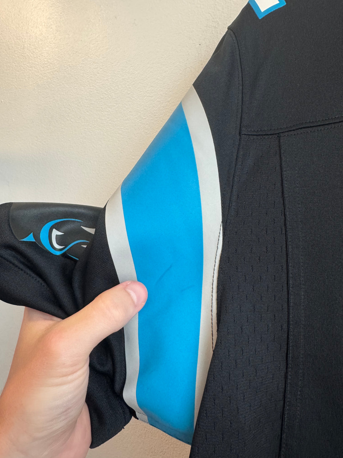 2010s Carolina Panthers Cam Newton Nike Home Jersey (S)