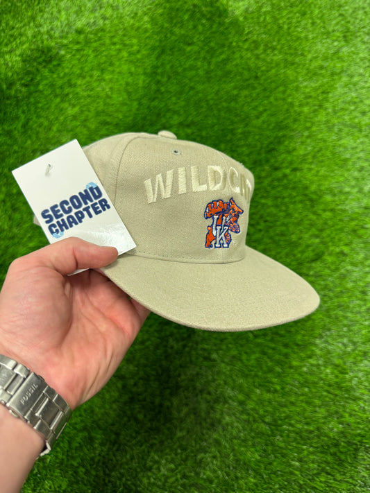 90s University of Kentucky Wildcats Vintage Snapback Hat (OS)