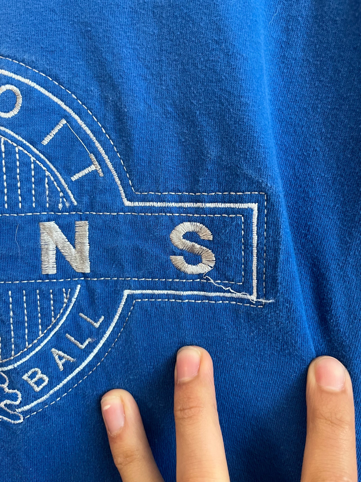 90s Detroit Lions True Fan Embroidered Tee (XL)