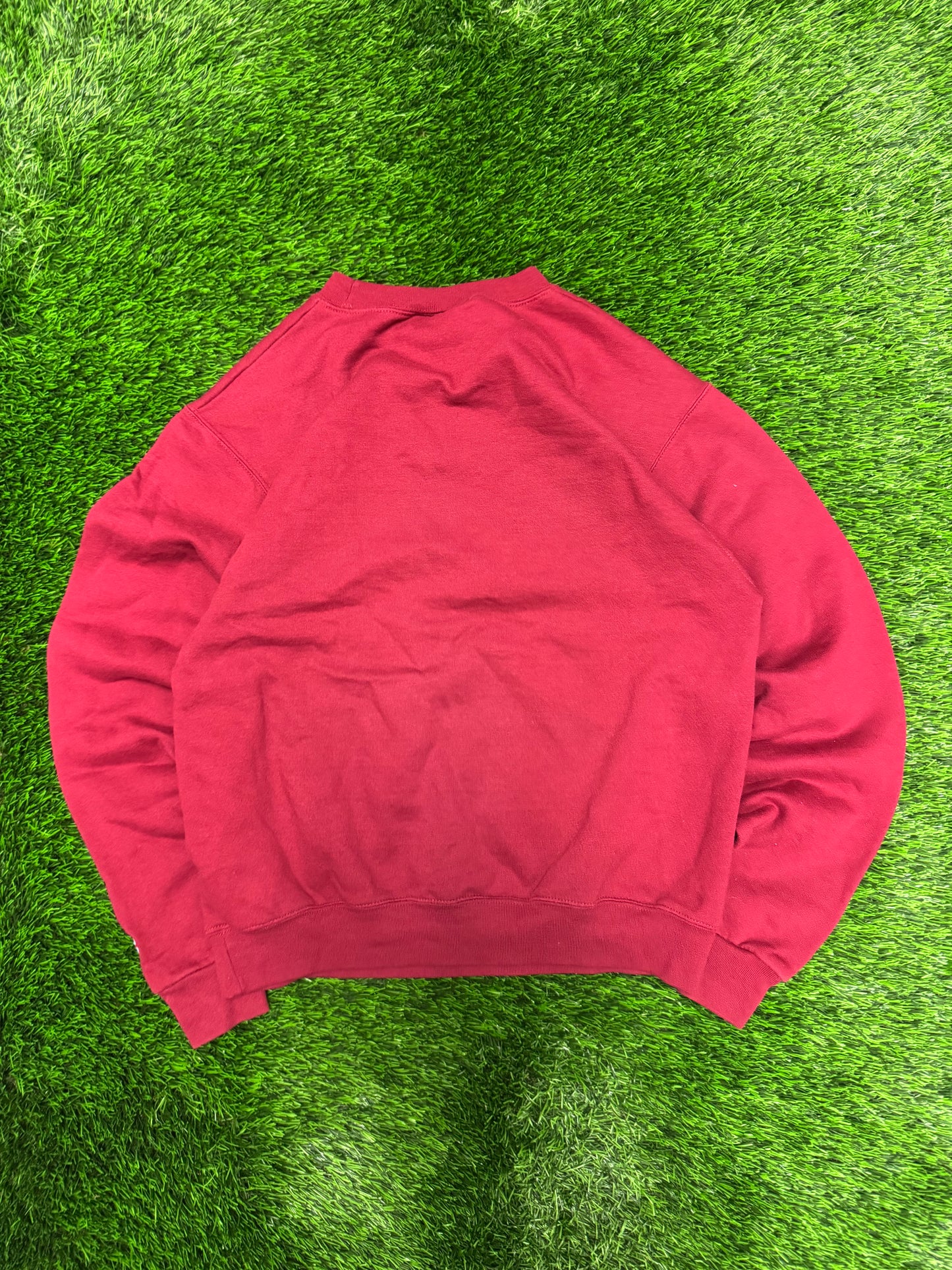 University Of South Carolina (USC) Spell Out Champion Vintage Crewneck (M)