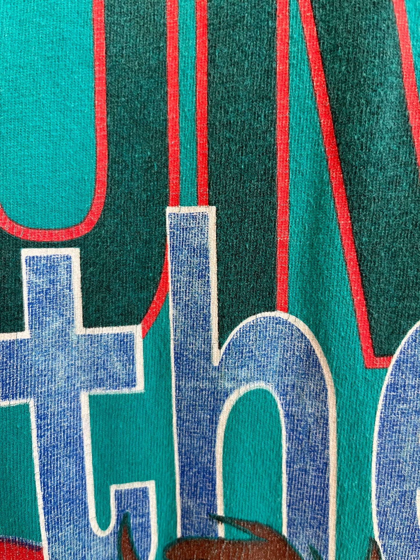1998 Taz "Don't Even Go There!" Looney Tunes Faded Teal Tee (L)