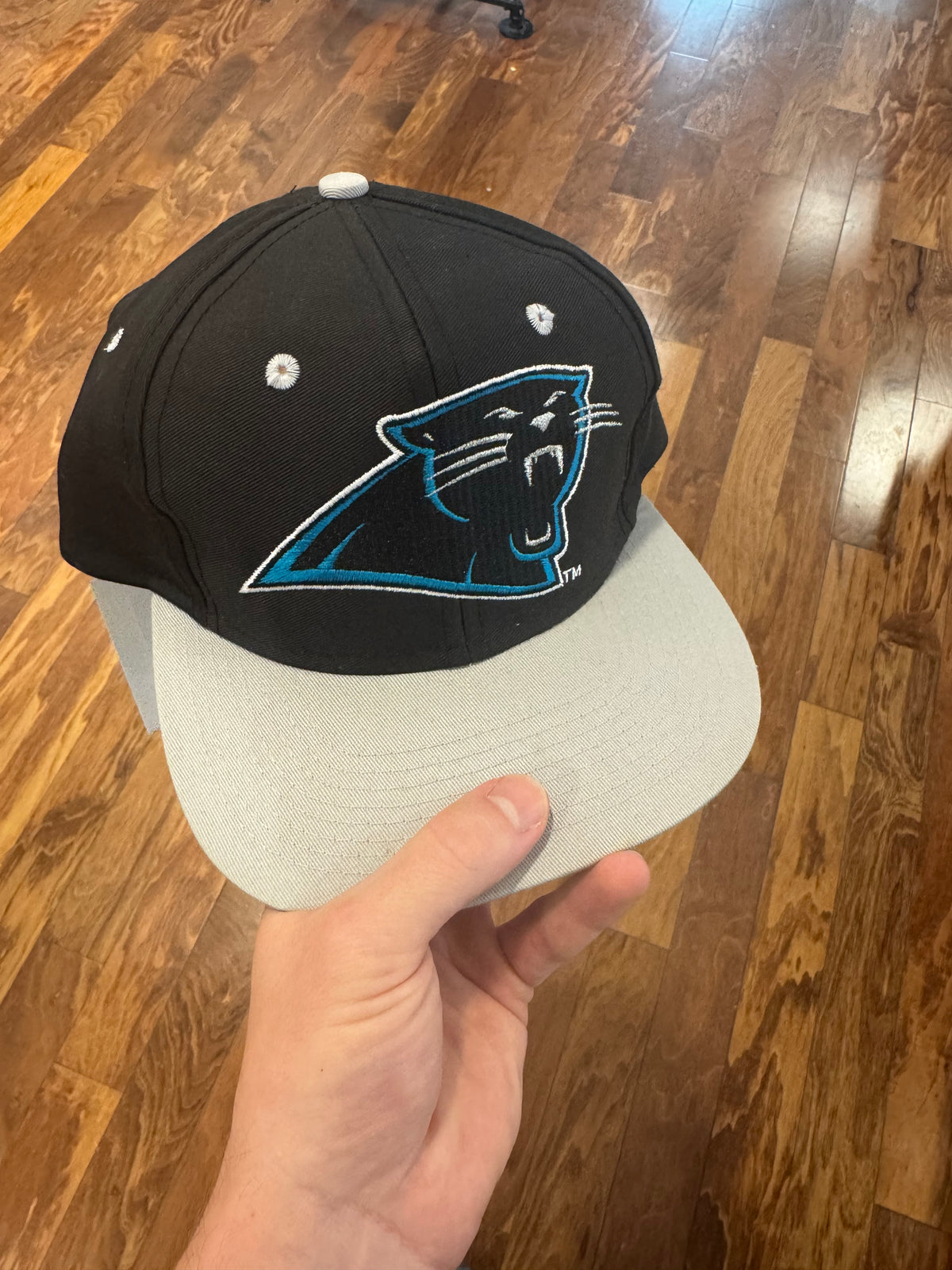 90s Carolina Panthers Big Logo Essential Hat (OS)