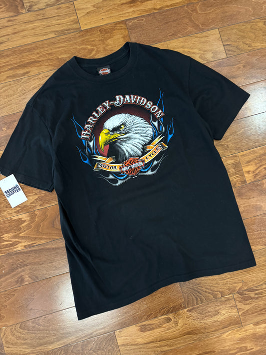 2013 Harley Davidson Iowa Flaming Eagle Vintage Tee (XL)