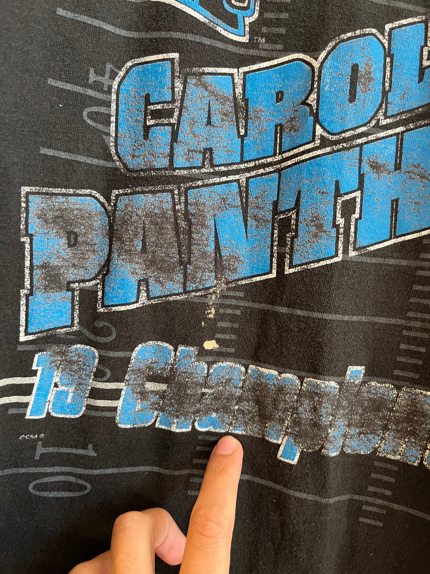 00s Carolina Panthers Faded Western Division Tee (XL)