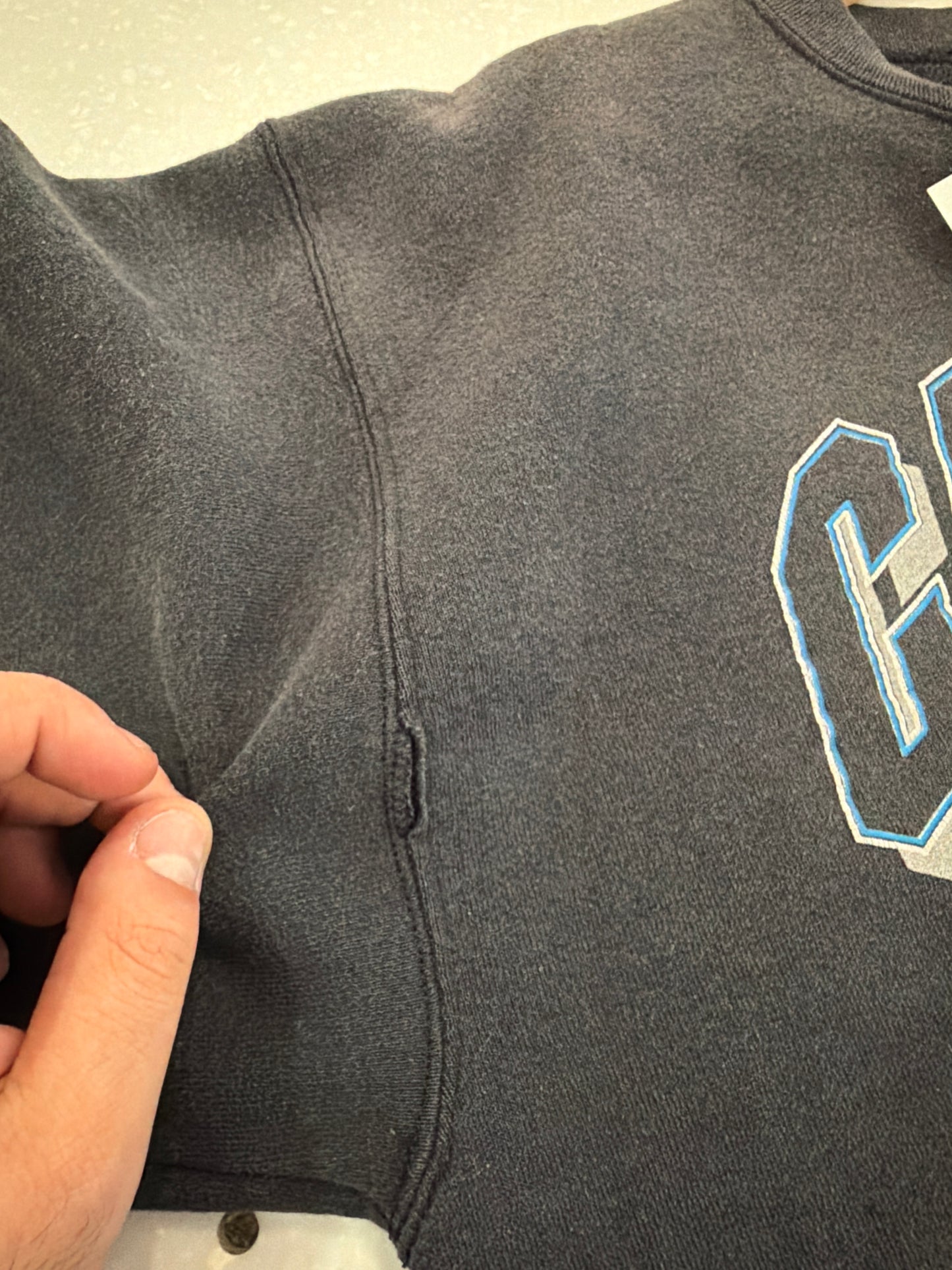 1993 Carolina Panthers Oneita Gym Gear Crewneck (L)