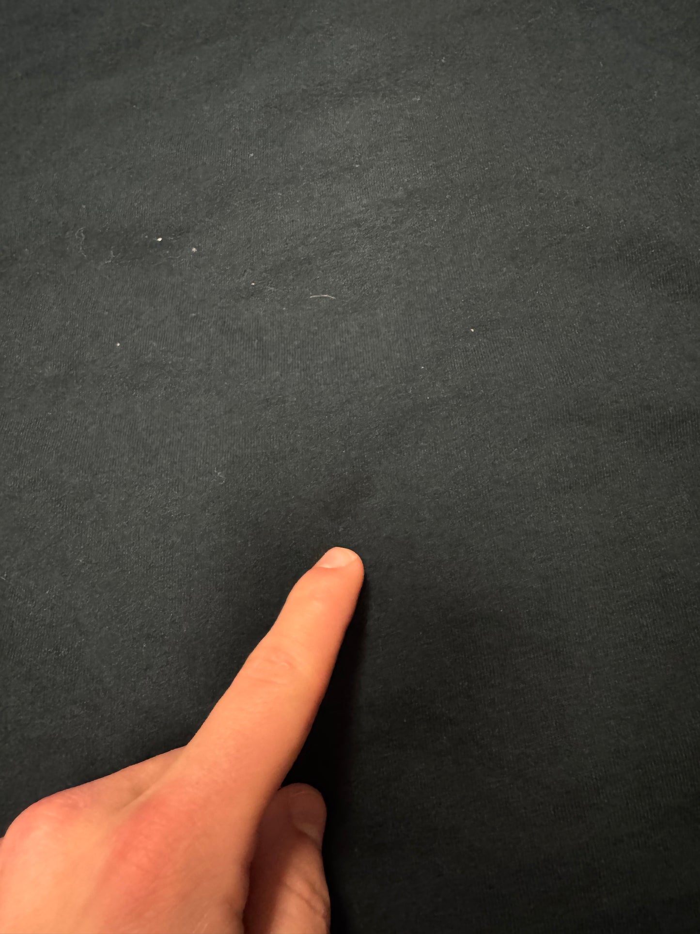 2015 Carolina Panthers NFC Champions Black Tee (L)