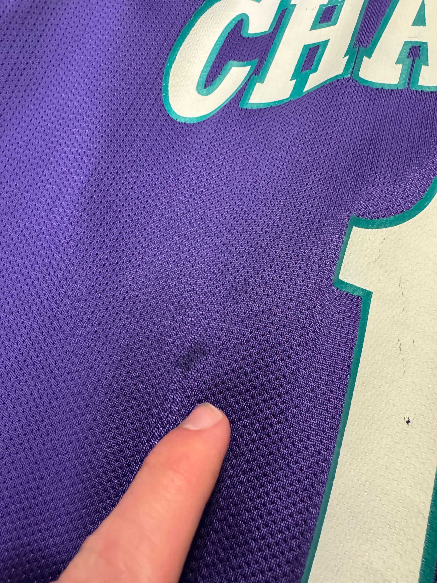 90s Charlotte Hornets Kendall Gill #13 Vintage Champion Purple Jersey (L)