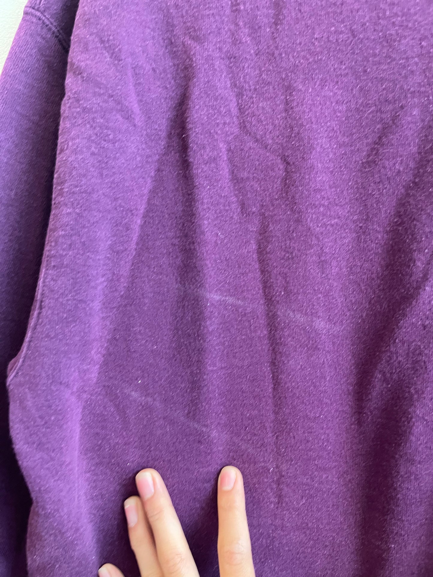 00s Champion Purple Essential Crewneck (L)