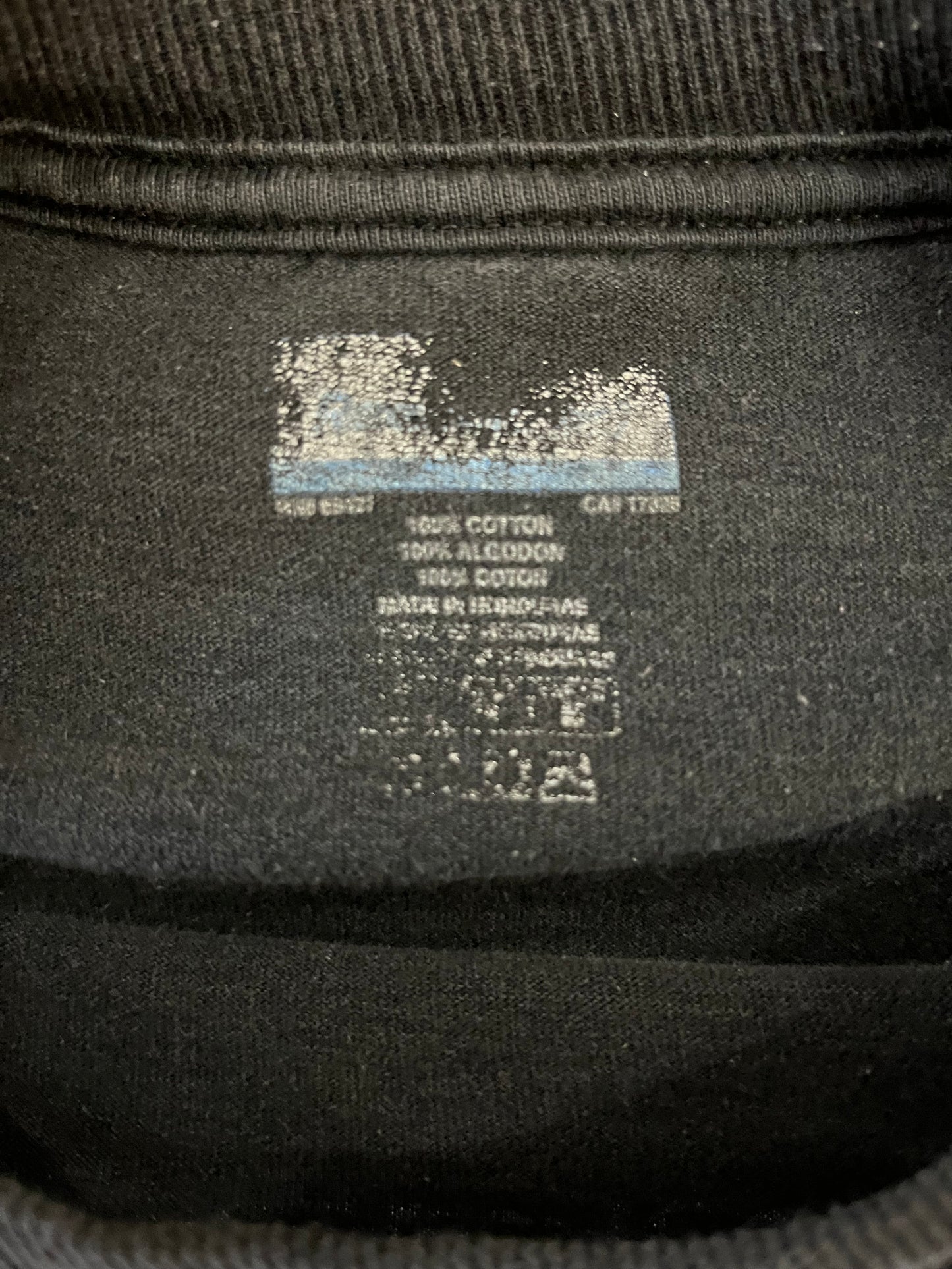 2008 Carolina Panthers NFC South Champs Tee (L)