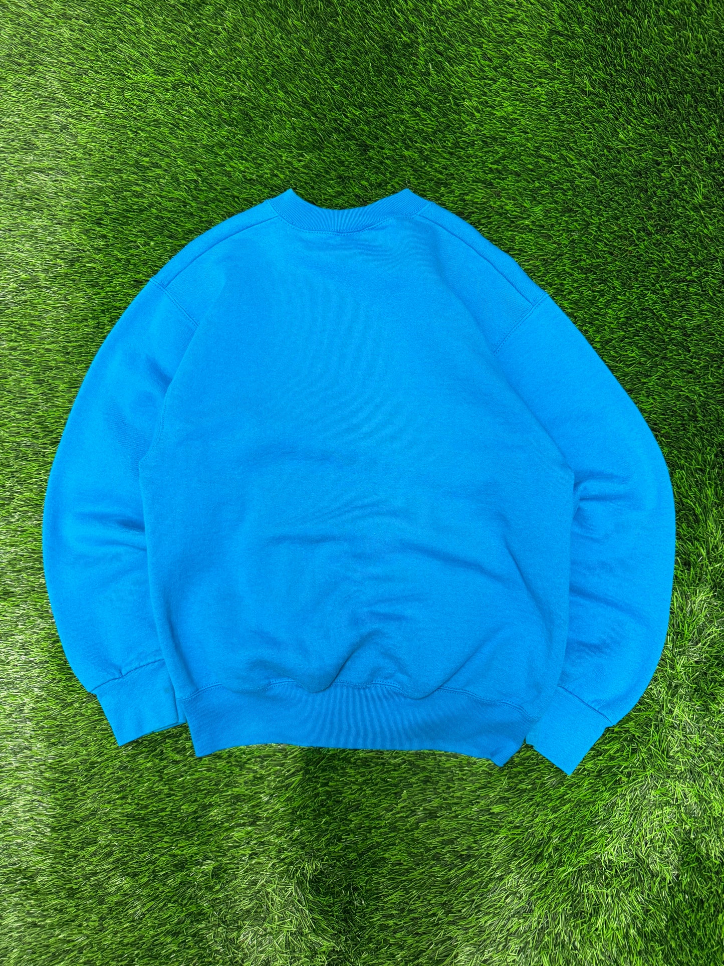 1997 Carolina Panthers Pro Player Spell Out Vintage Blue NFL Crewneck (M)