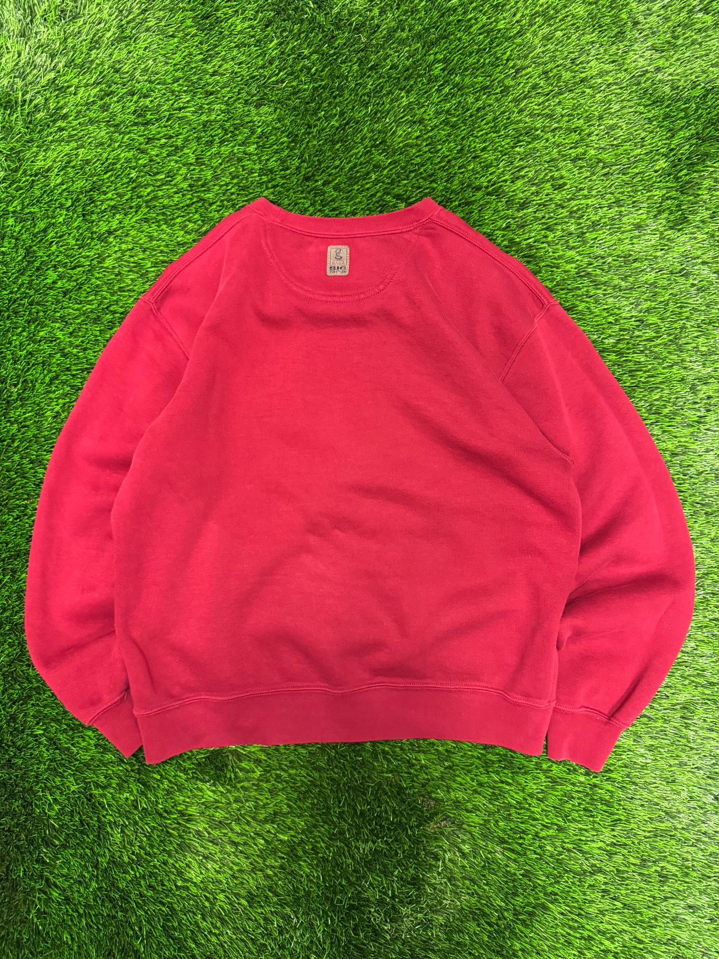 00s University of South Carolina USC Gamecocks Big Cotton Vintage Crewneck (M)