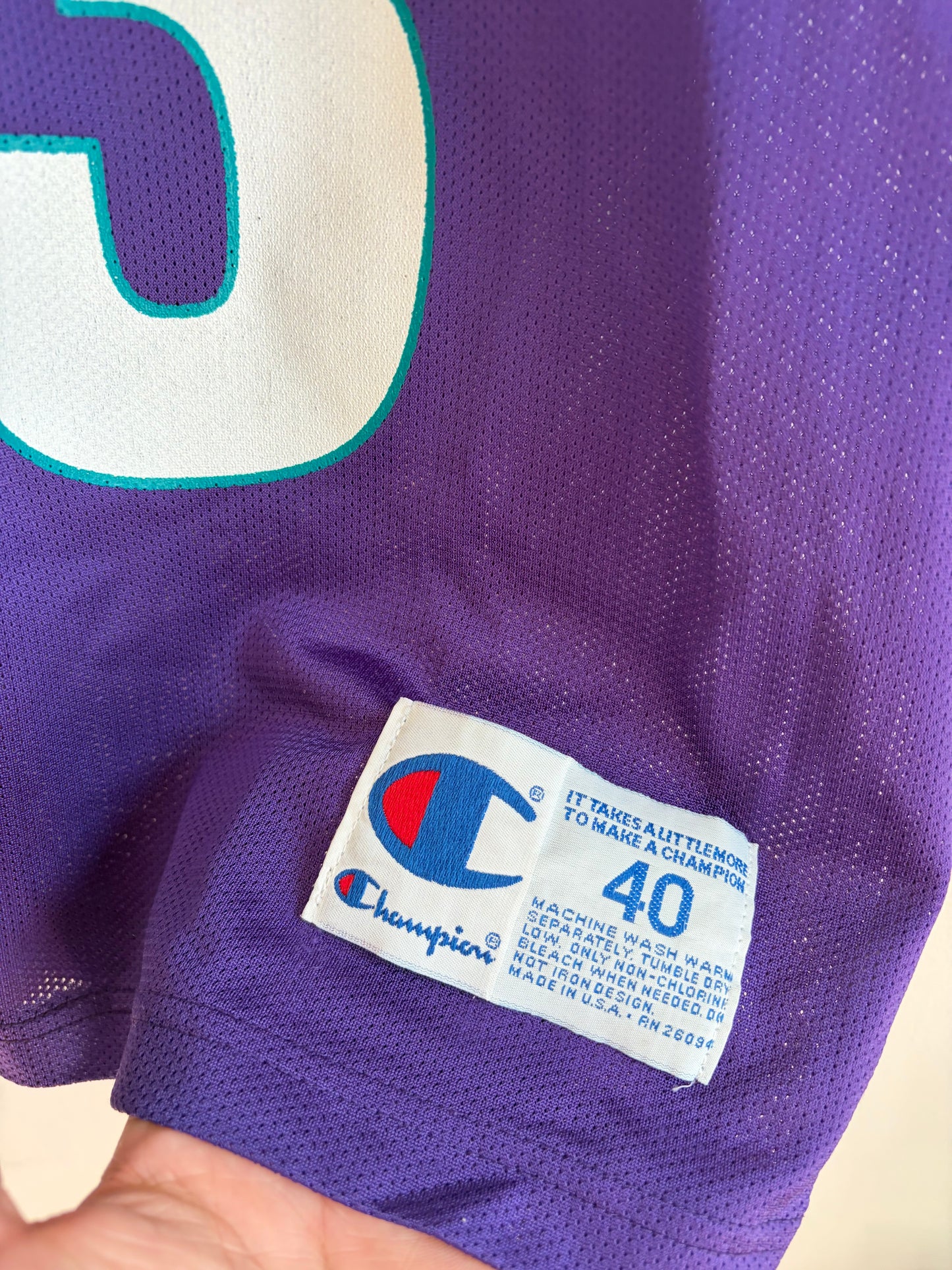 1990s Charlotte Hornets Alanzo Mourning Purple Champion Jersey (S)