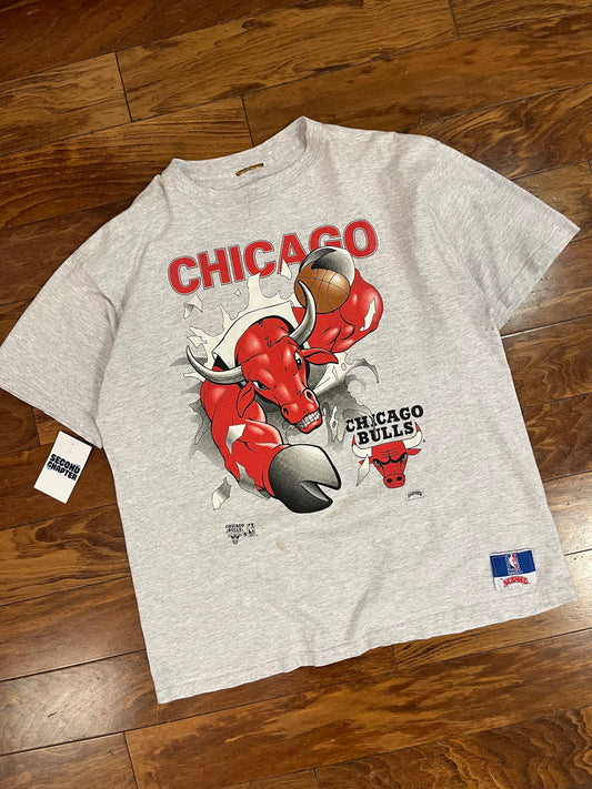 90s Chicago Bulls Breakthrough Nutmeg NBA Tee (XL)