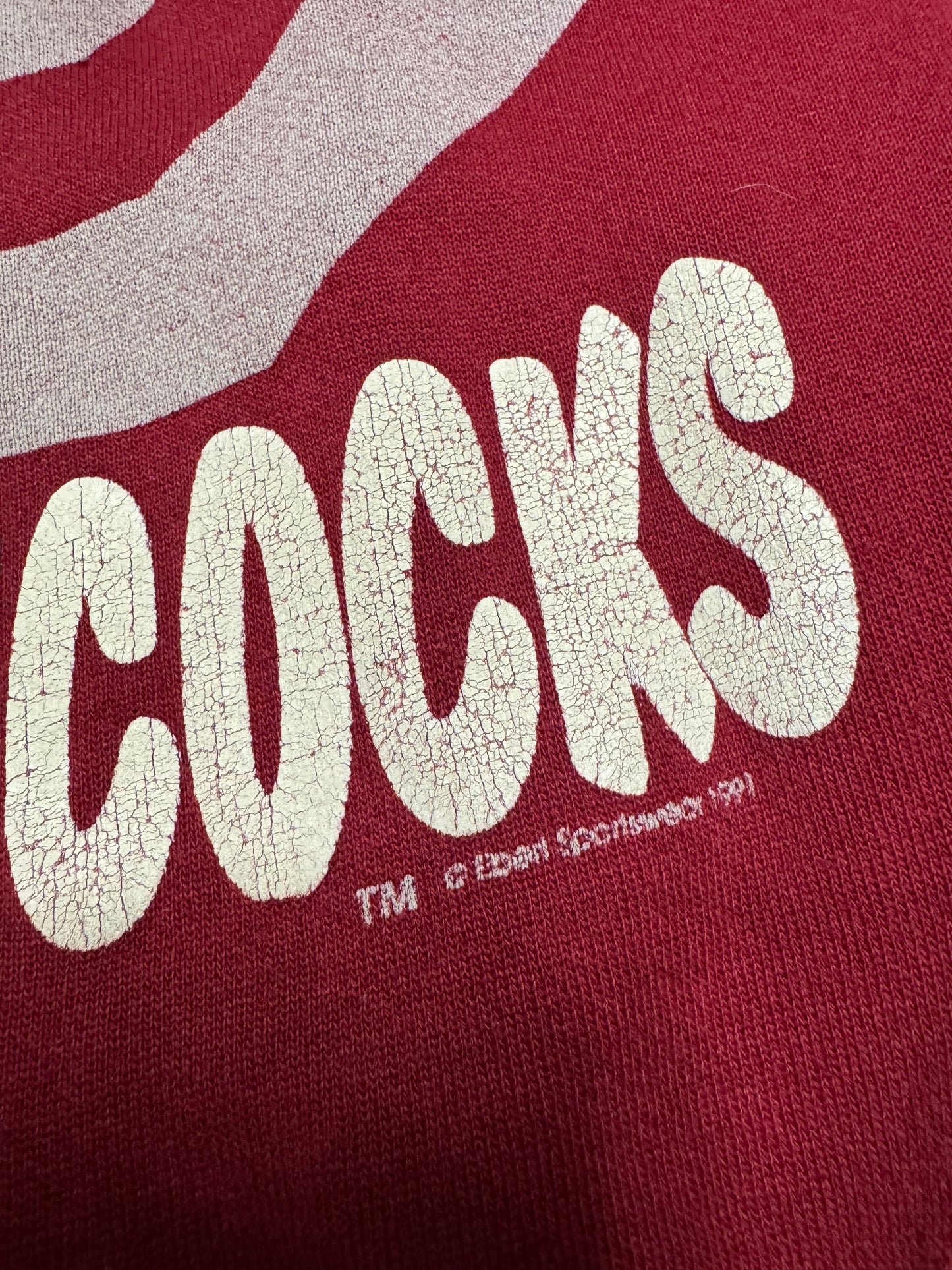 1991 University of South Carolina USC Gamecocks Vintage Graphic Crewneck (L)