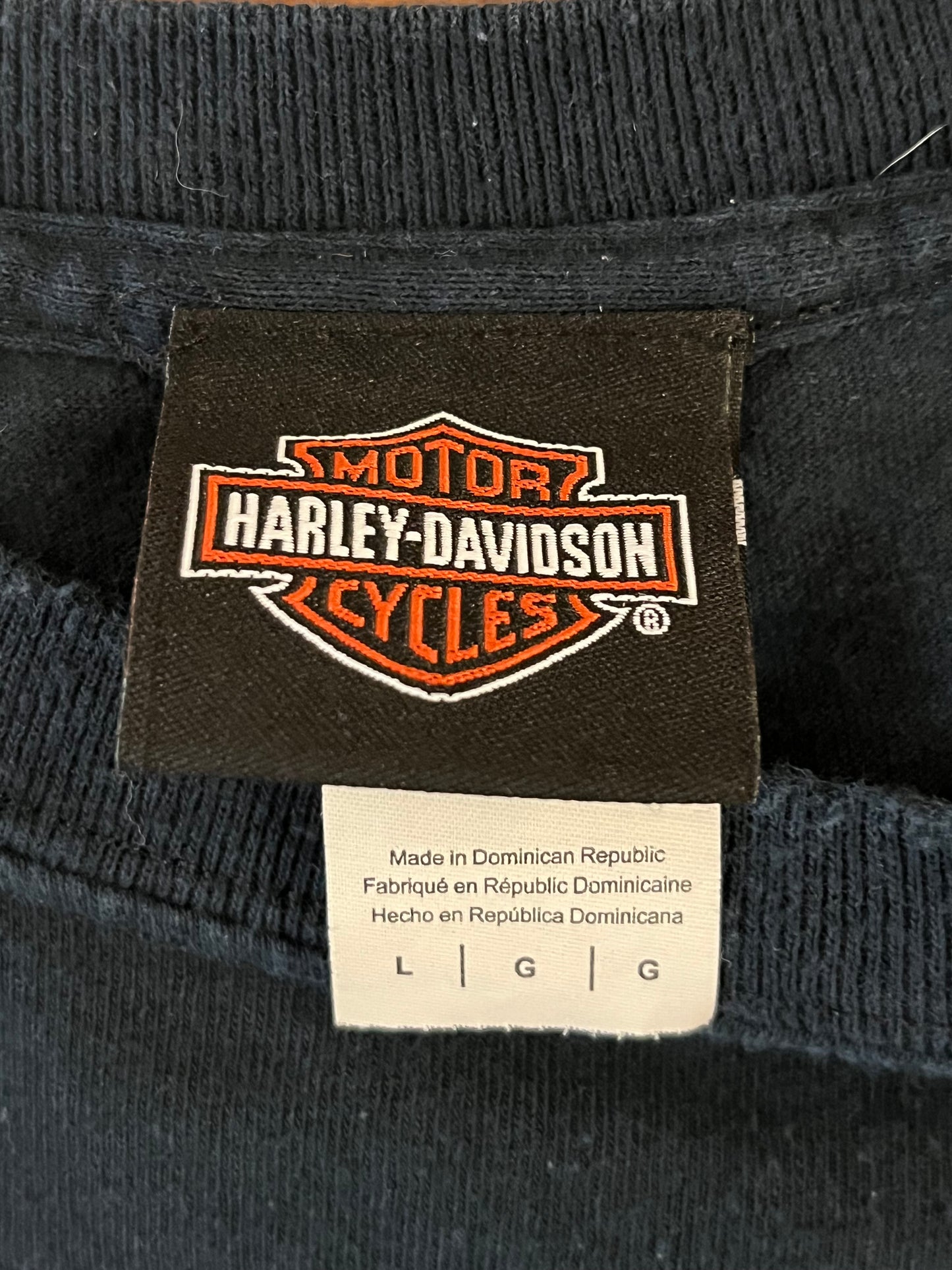 2010s Harley Davidson Jamaica Tee (L)