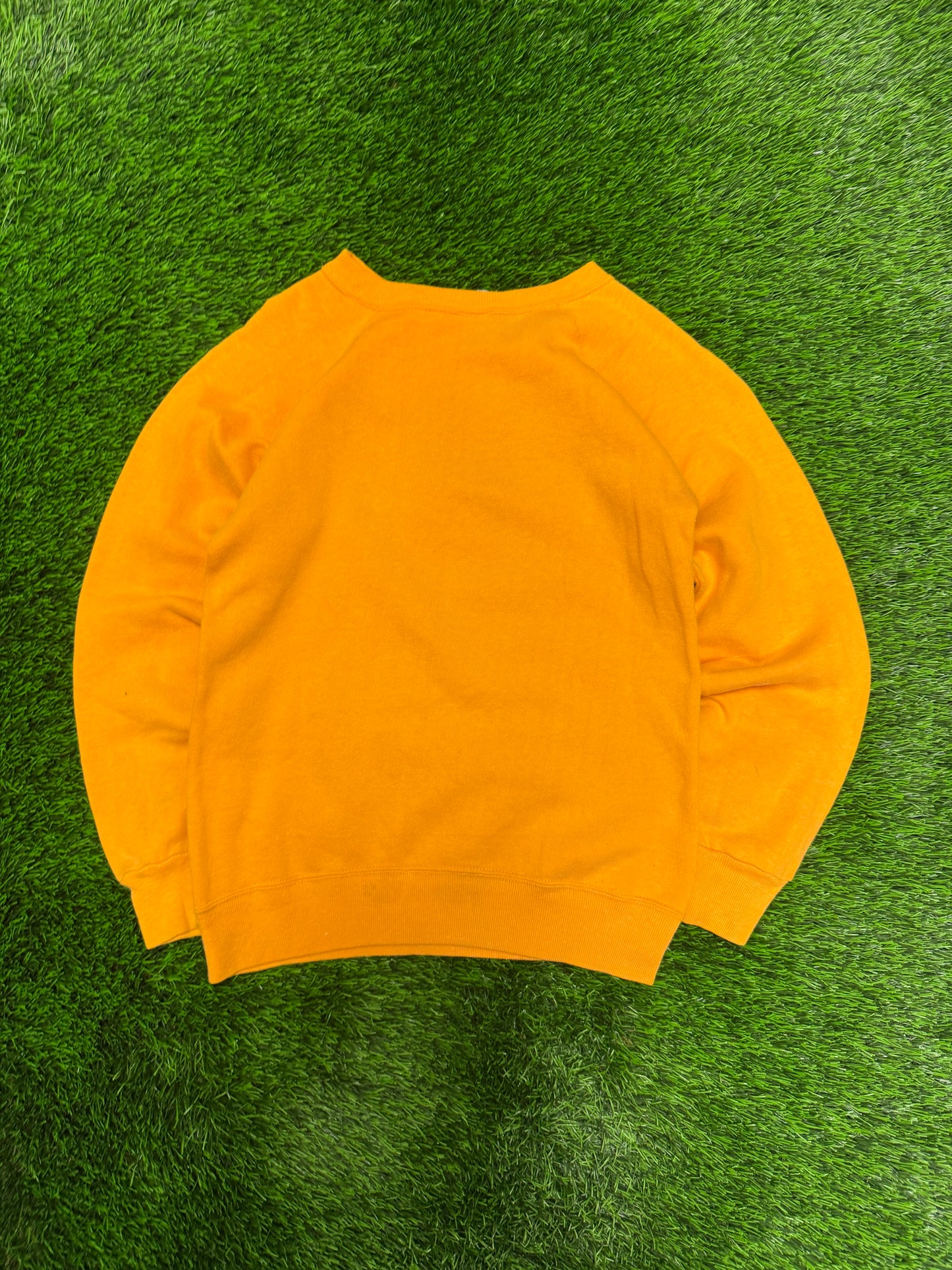 70s University Of Iowa Champion Vintage Crewneck (S)