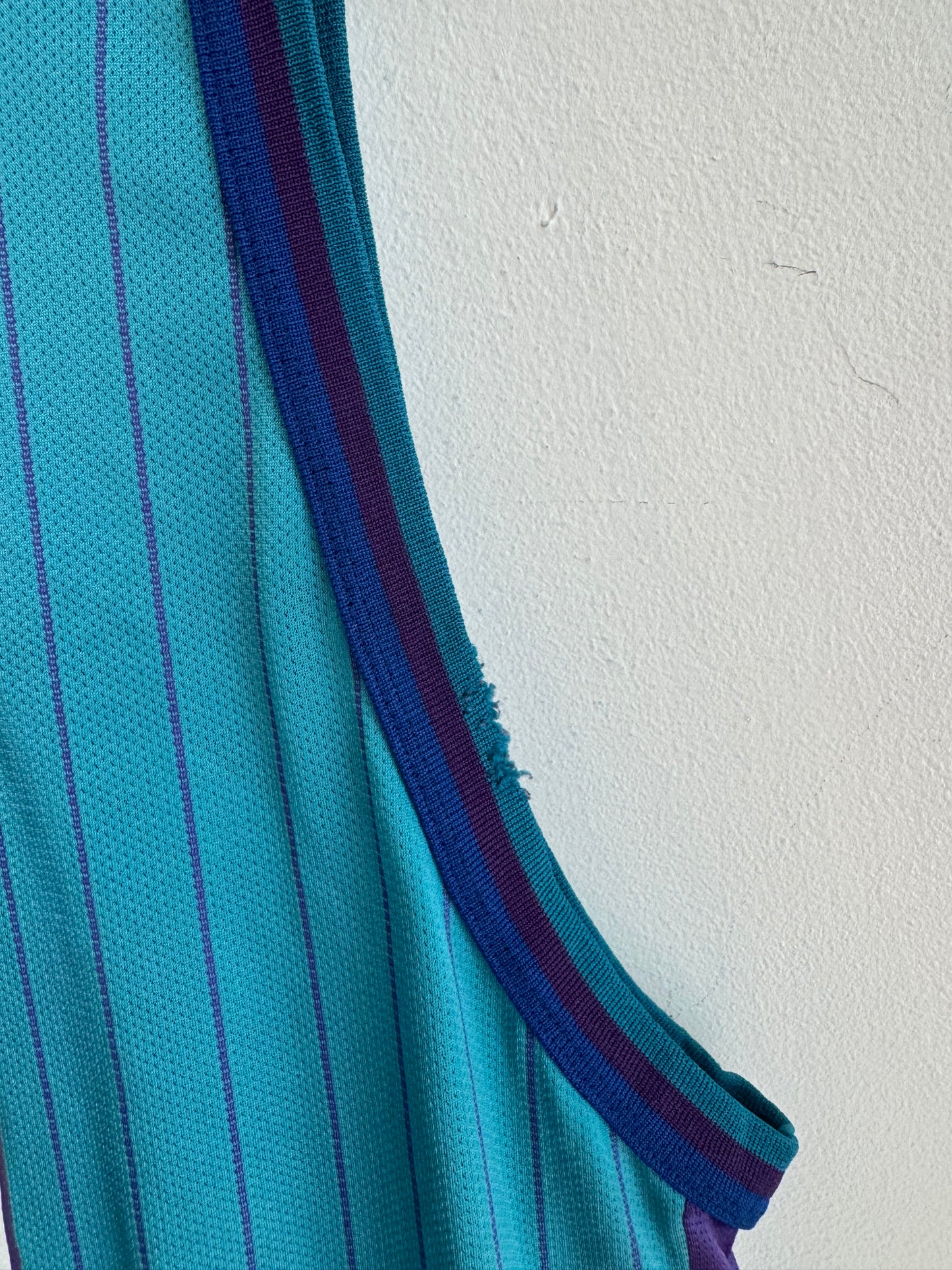90s Charlotte Hornets Glen Rice Pinstripe NBA Champion Jersey (XL)