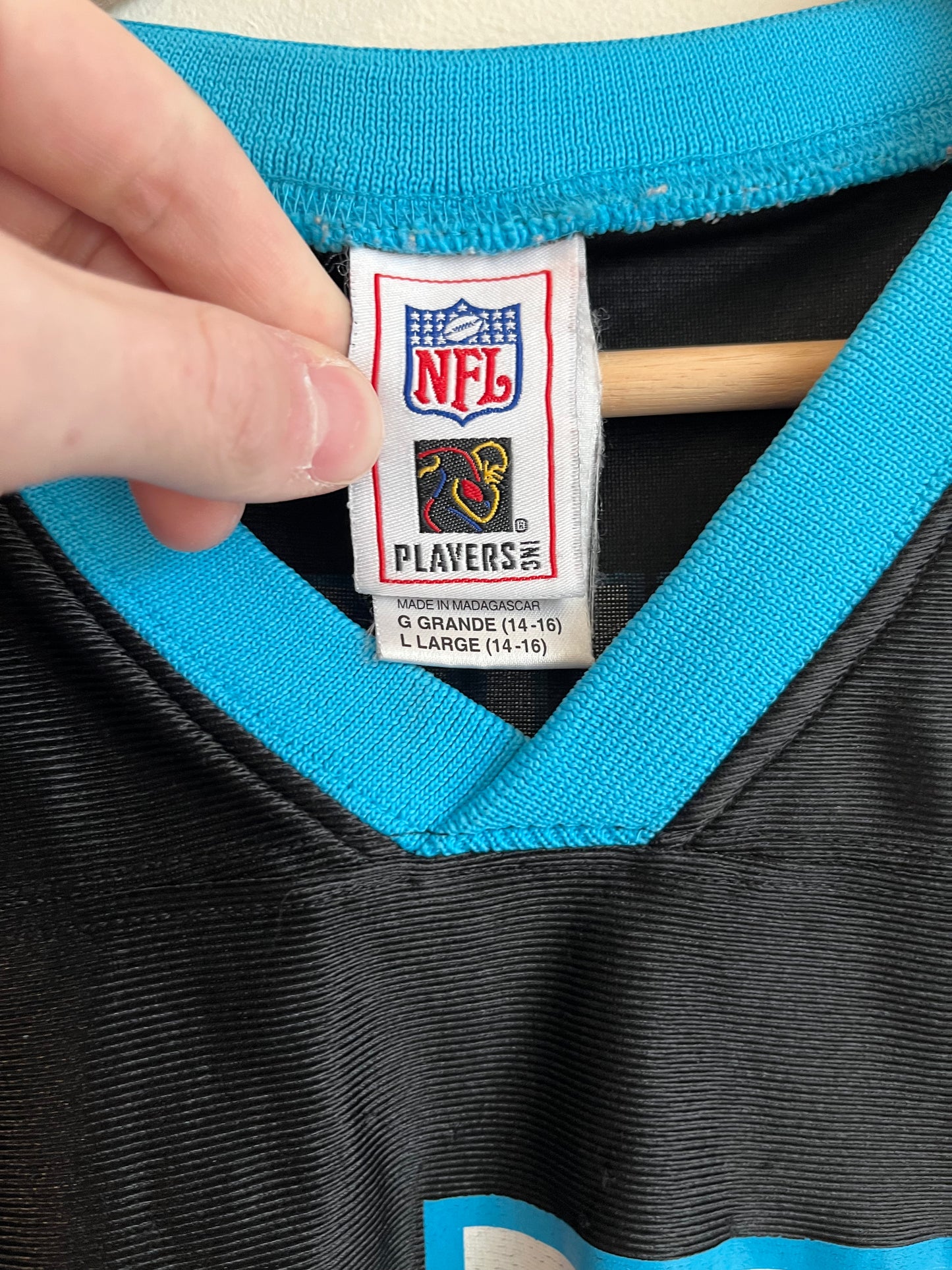 00s Carolina Panthers Jake Delhomme NFL Players Striped Jersey (Youth L)