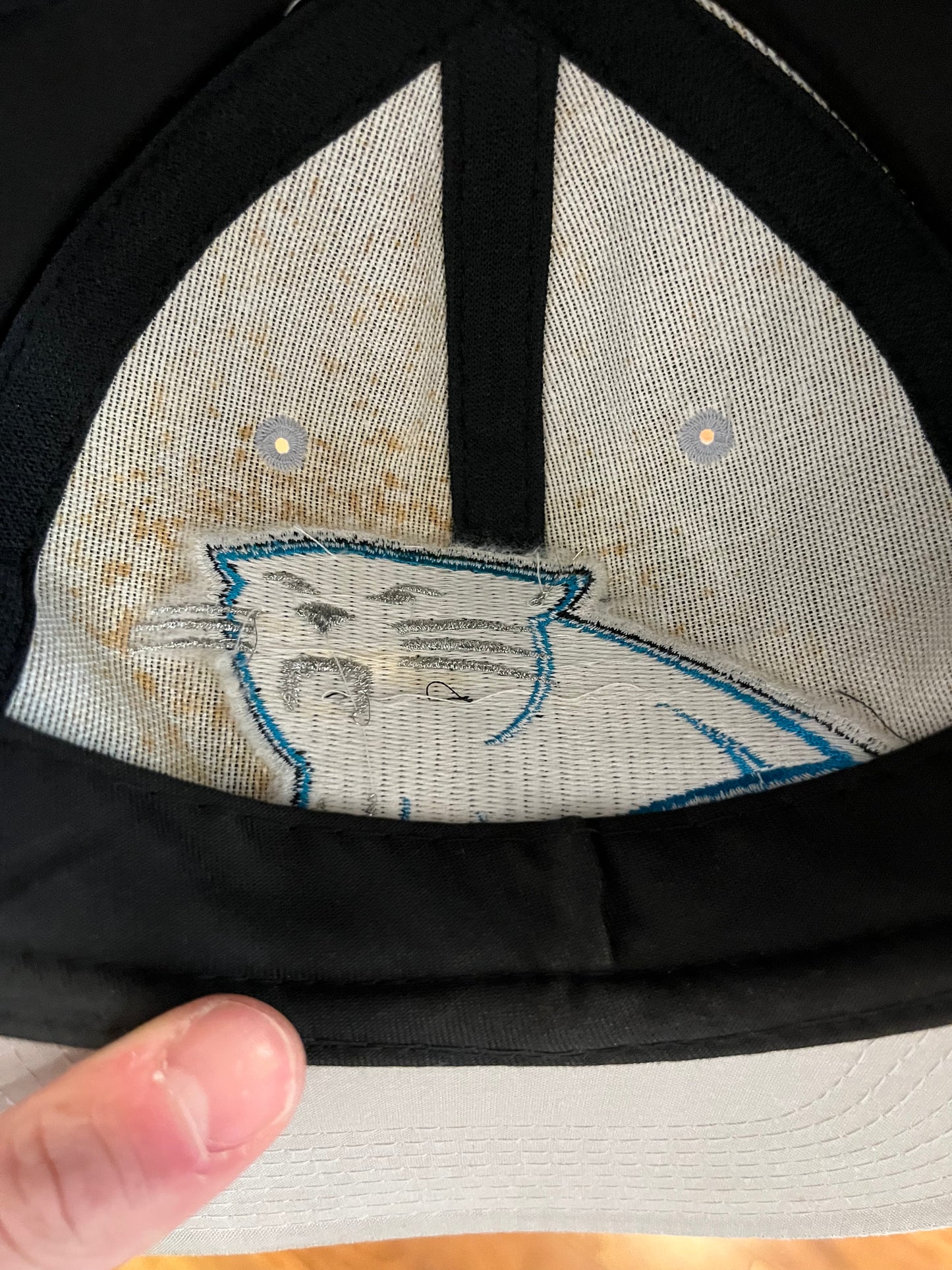 90s Carolina Panthers Big Logo Competitor Two Toned Hat (OS)