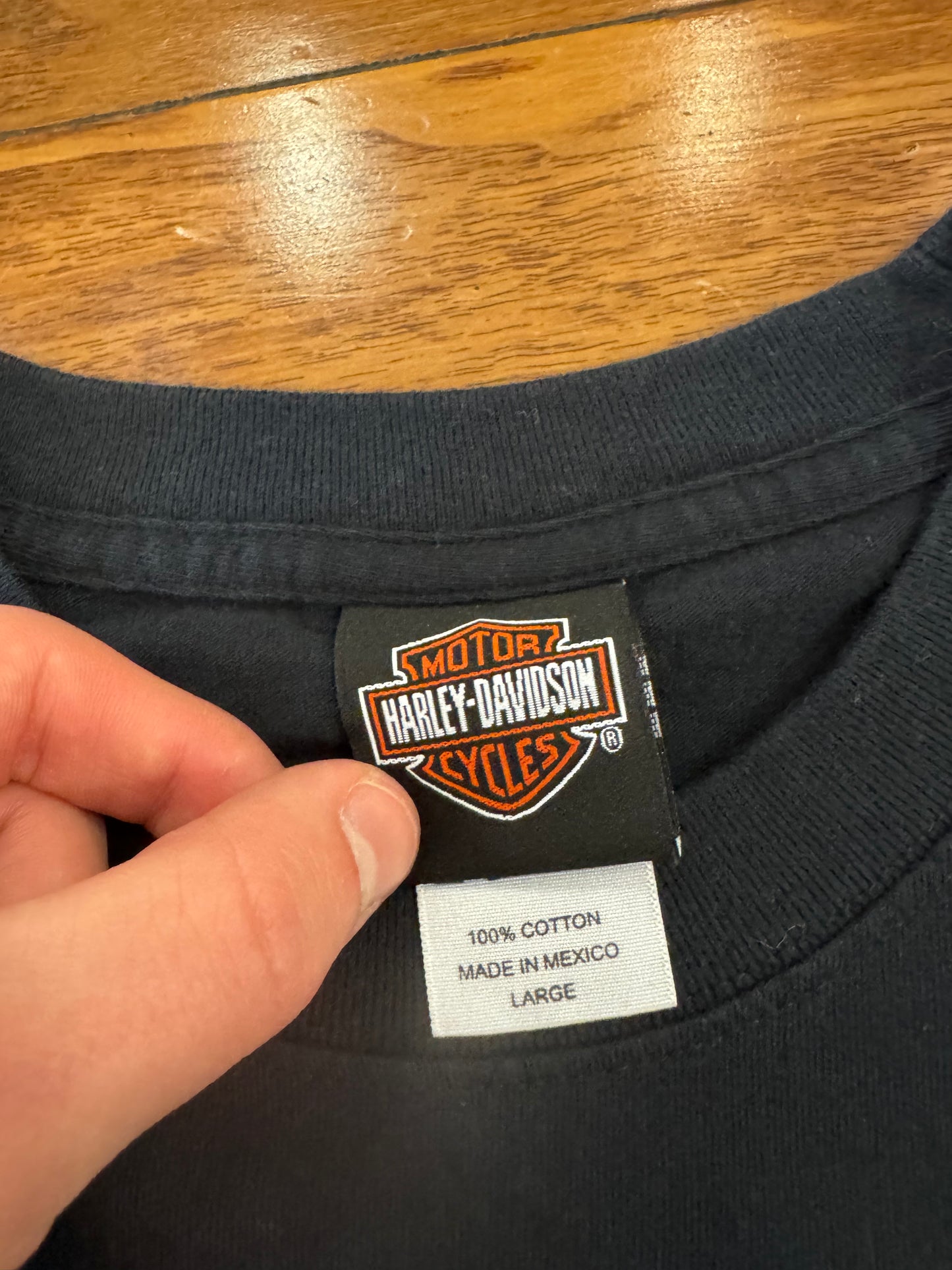 2006 Harley Davidson Orlando Flames Graphic Tee (L)