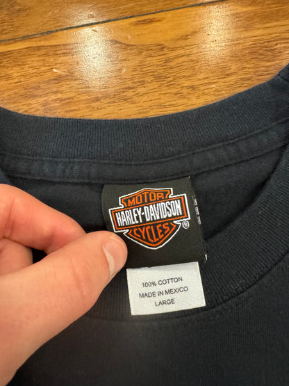 2006 Harley Davidson Orlando Flames Graphic Tee (L)