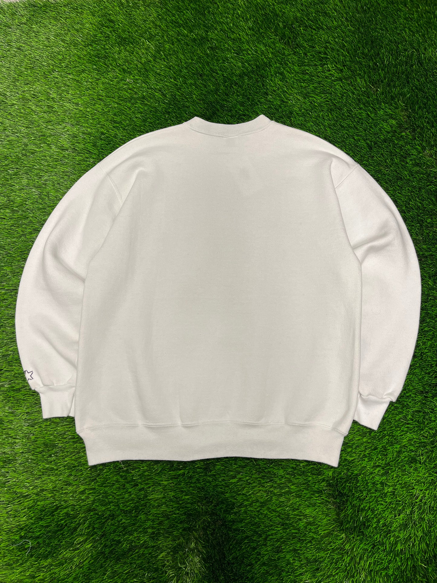 90s Washington Redskins Starter Crewneck (L)