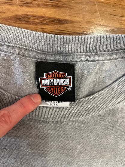 2007 Harley Davidson Hot Metal PA Tee (L)