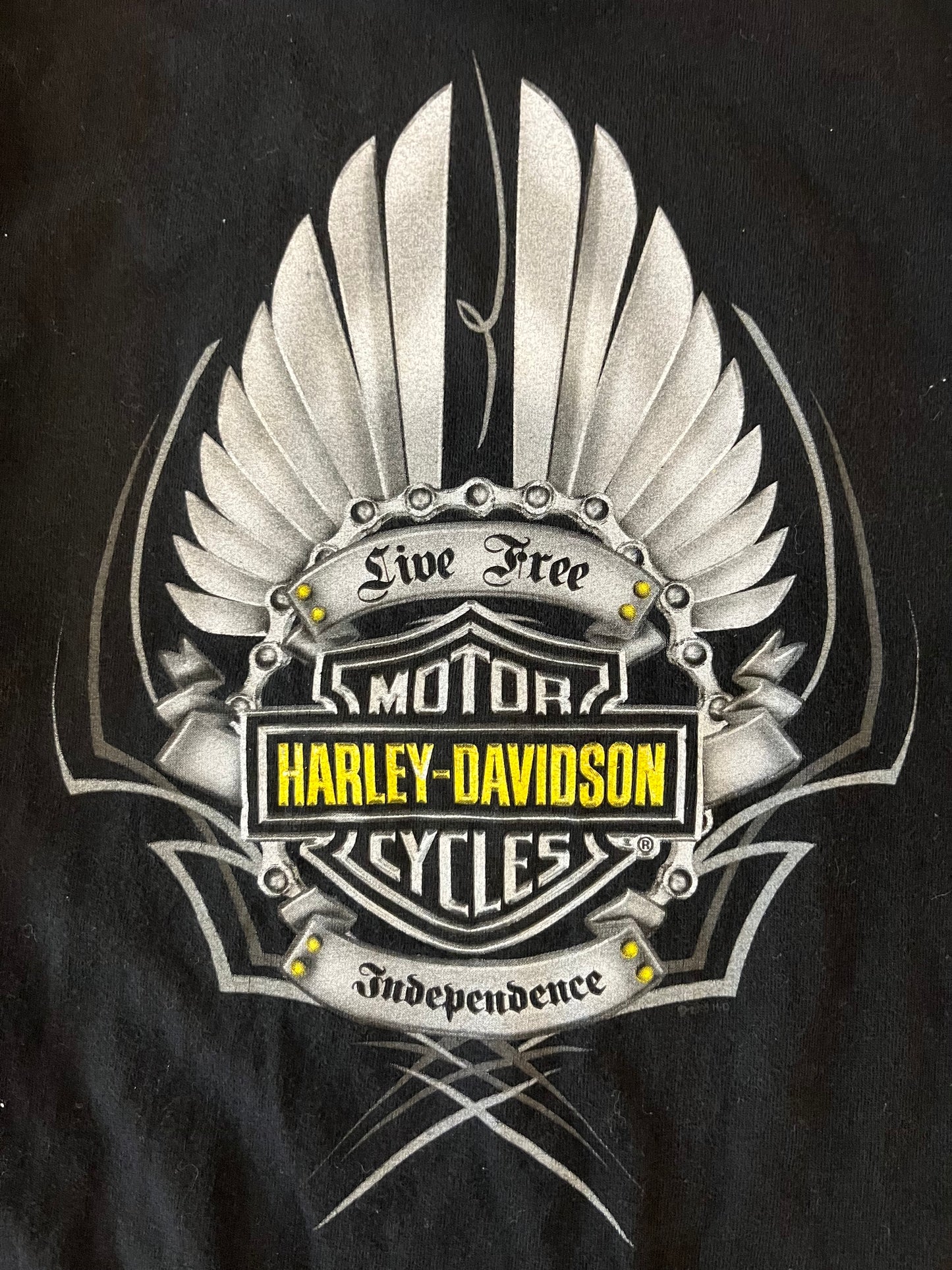 2008 Harley Davidson Statesville Black Tee (M)