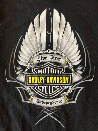2008 Harley Davidson Statesville Black Tee (M)