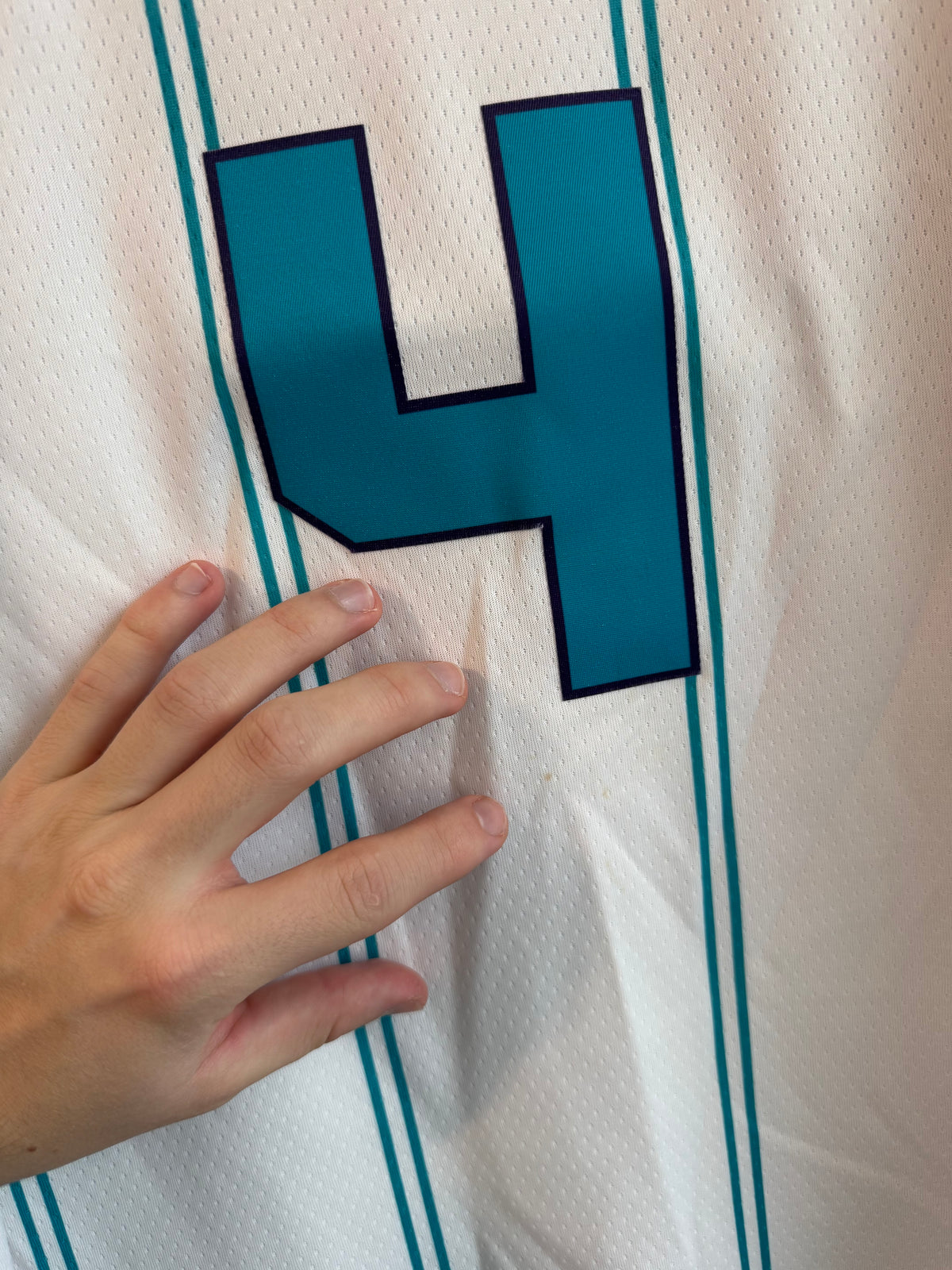 2020 Charlotte Hornets Devonte Graham Away Pinstripe Jordan Swingman Jersey (L)