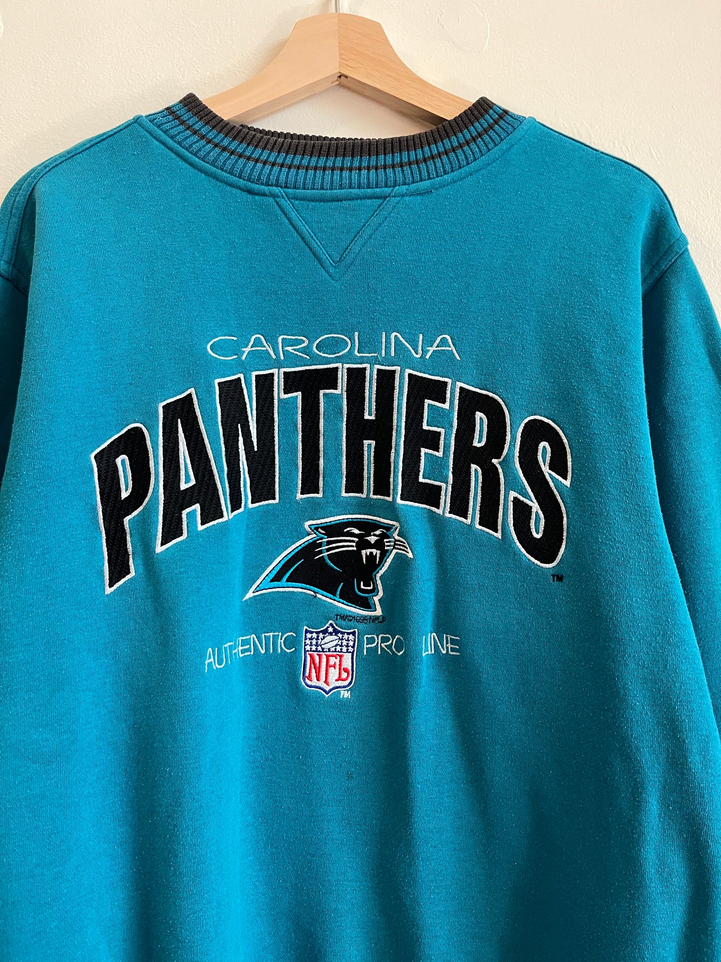 1996 Carolina Panthers Logo Athletic Embroidered Crewneck (L)