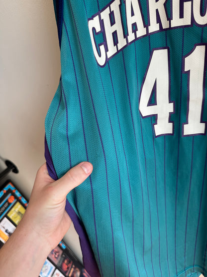 90s Charlotte Hornets Glen Rice Pinstripe NBA Champion Jersey (XL)
