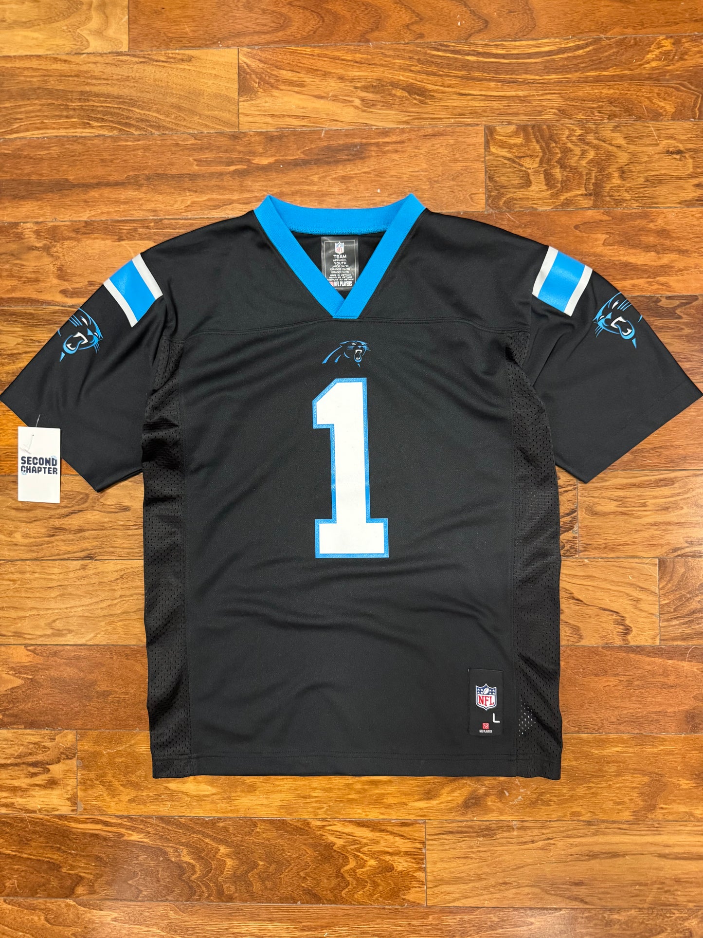 Carolina Panther Cam Newton NFL Team Youth Jersey  (Youth L)