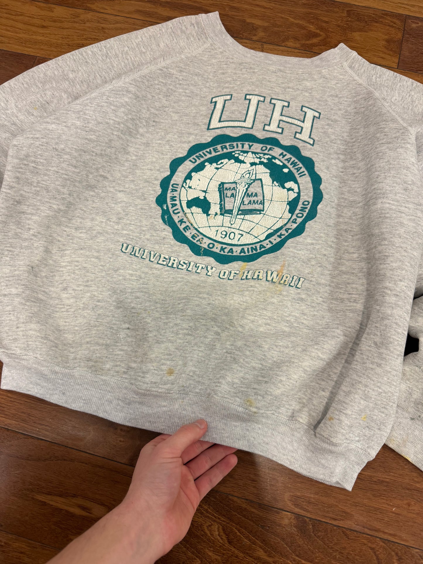 80s University of Hawaii Rainbows Paint Splatter Vintage Boxy Crewneck (XL)