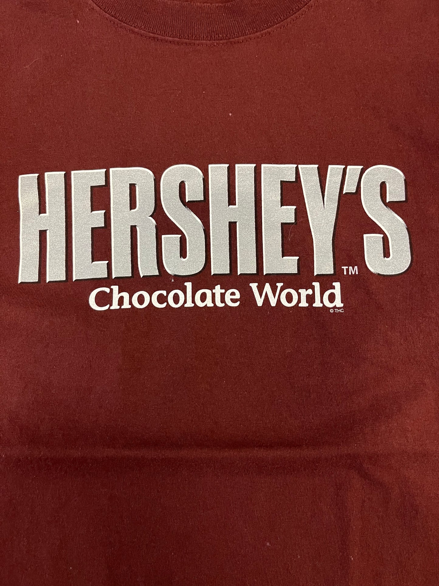 2010s Hershey's Chocolate World Tee (M)