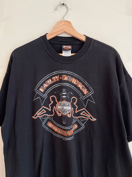 2007 Harley Davidson Honesdale PA Tee (XL)